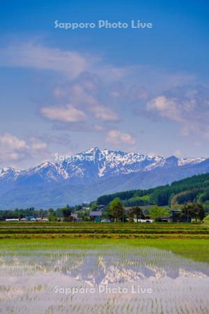 水田と十勝岳連峰