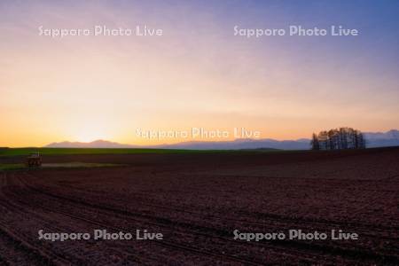 畑と十勝岳連峰の日の出