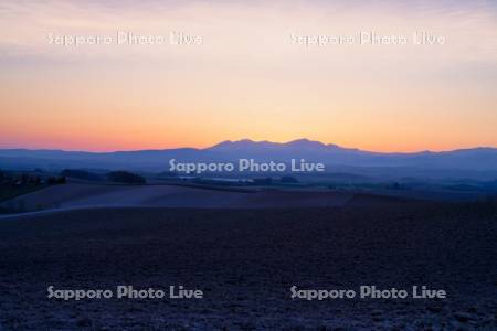 畑と大雪山の朝焼け