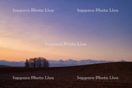 畑と十勝岳連峰の朝焼け