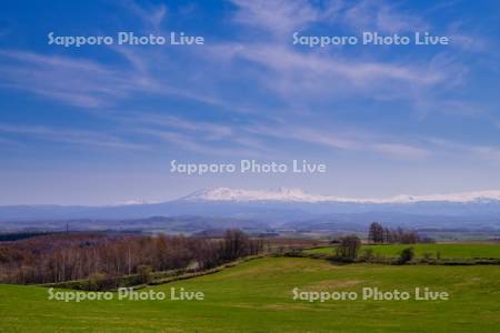 畑と大雪山