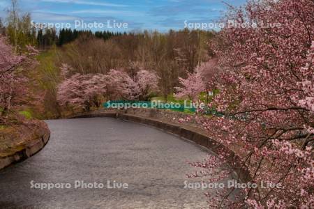 聖台ダム公園宇莫別川