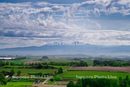 畑と大雪山
