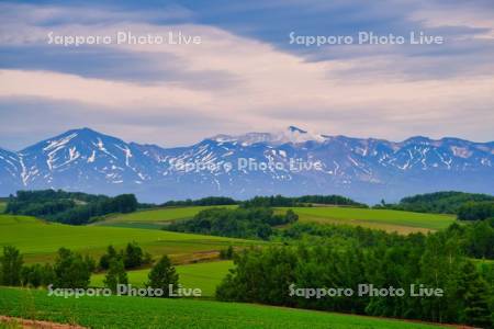 畑と十勝岳連峰