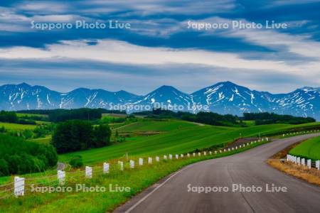 道路と十勝岳連峰
