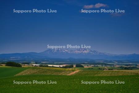 畑と大雪山