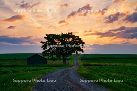 朝焼けの小屋と農道