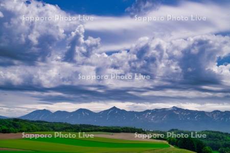 十勝岳連峰と畑
