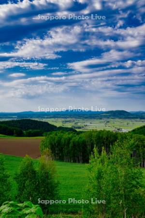 戸外炉峠より市街展望