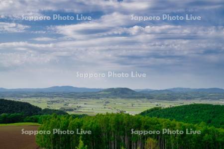 戸外炉峠より市街展望