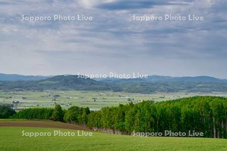 戸外炉峠より市街展望