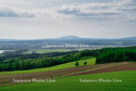 戸外炉峠より市街展望