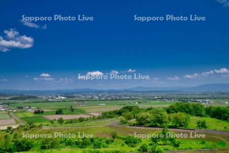 萌の丘より市街展望