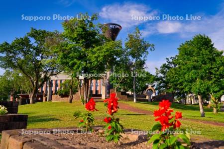 鳩が丘記念緑地