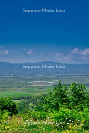 にわ山森林自然公園