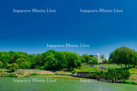 北海道こどもの国　観賞池