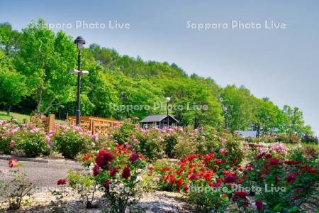 ローズガーデンちっぷべつ