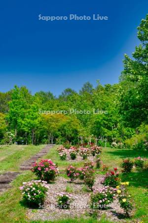 ローズガーデンちっぷべつ