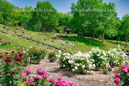 ローズガーデンちっぷべつ