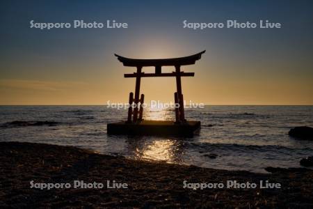 金比羅神社と夕日