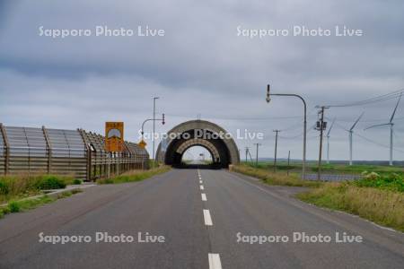 浜里パーキングシェルター