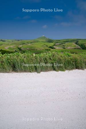 宗谷丘陵の白い道