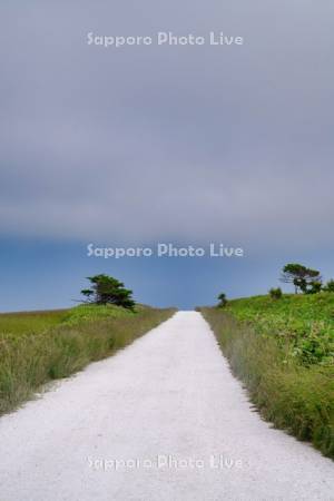 宗谷丘陵の白い道