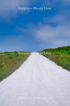 宗谷丘陵の白い道