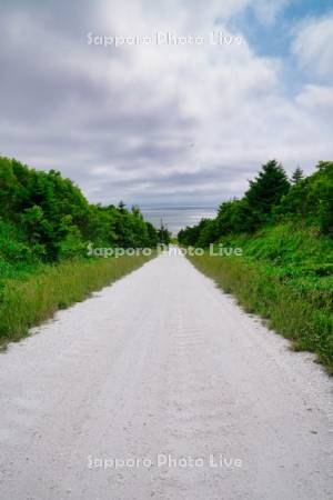 宗谷丘陵の白い道