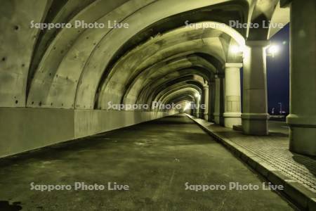 稚内北防波堤ドーム　ライトアップ