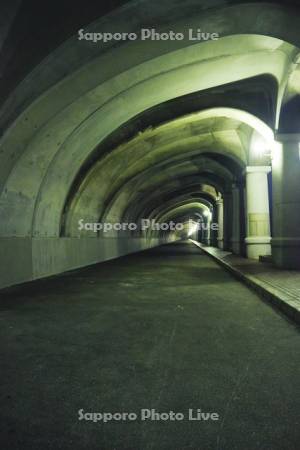 稚内北防波堤ドーム　ライトアップ