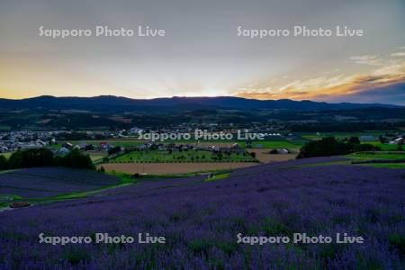 日の出公園の夕景