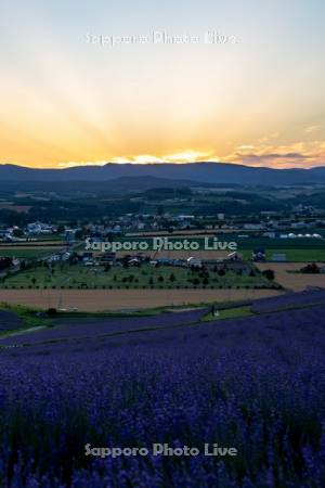 日の出公園の夕景