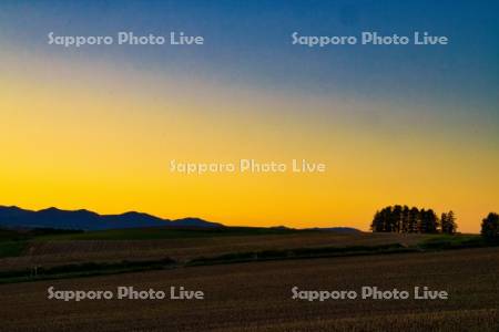 新栄の丘の夕景