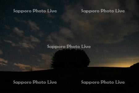 マイルドセブンの丘の星空