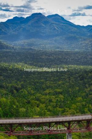 三国峠　松見大橋　R273