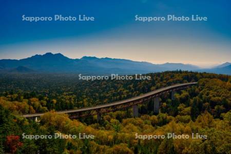 三国峠　松見大橋　R273