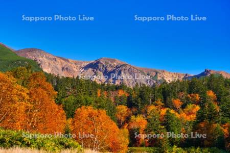 十勝岳温泉郷の紅葉