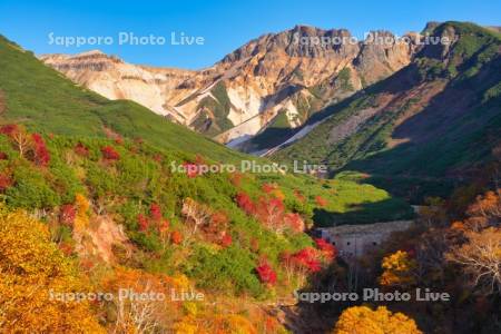 十勝岳温泉郷の紅葉