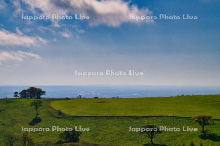 ナイタイ高原牧場