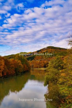 野花南大橋より空知川