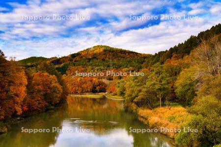 野花南大橋より空知川
