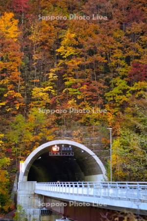 小天狗トンネル