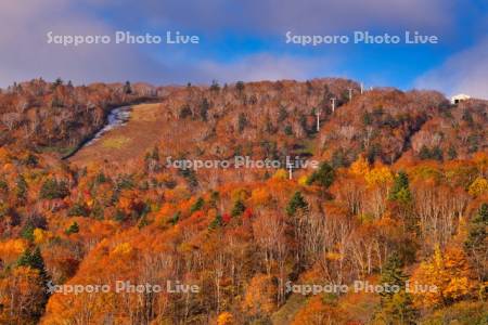 札幌国際スキー場
