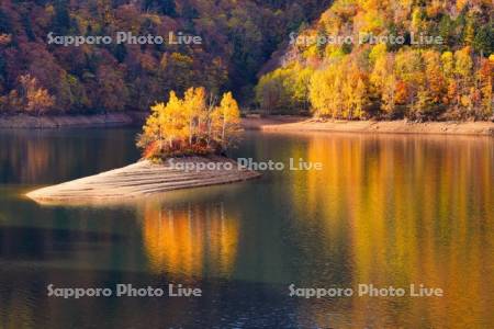 さっぽろ湖の紅葉