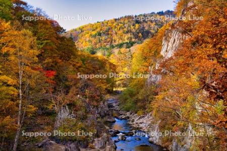 かっぱ淵　豊平川