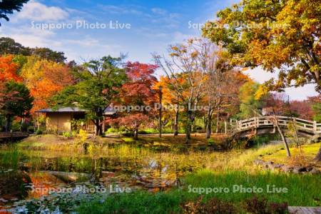 玉泉館跡地公園　心字池
