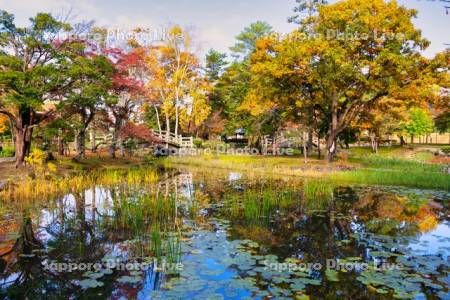 玉泉館跡地公園　心字池