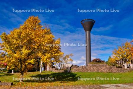 鳩が丘記念緑地