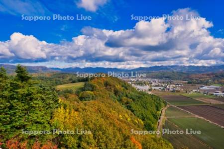 達布山展望台より田園